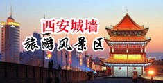 插插插色色色中国陕西-西安城墙旅游风景区
